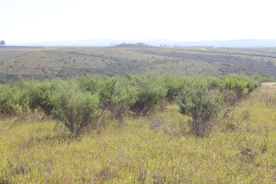 3 Bedroom Property for Sale in Bathurst Eastern Cape